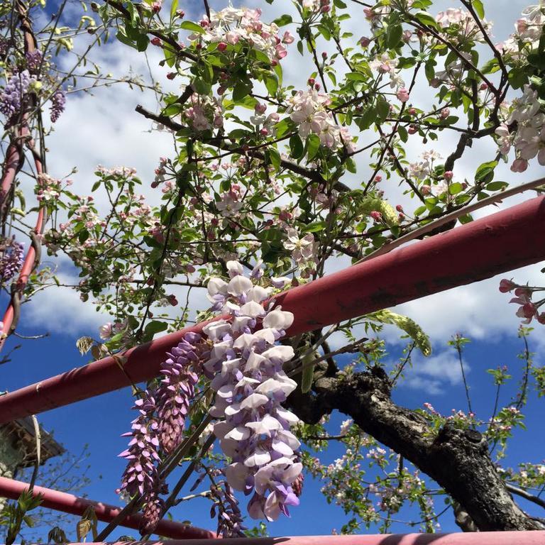 La Corte Del Borgo Bed & Breakfast Valverde  ภายนอก รูปภาพ